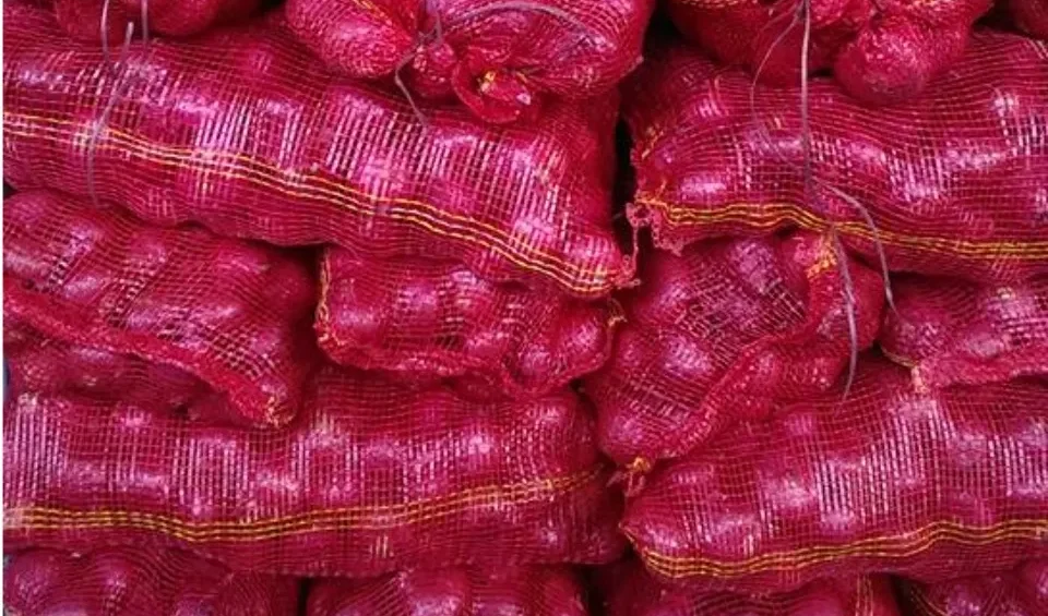 Onion 10 kg. – SudYod